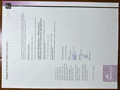 丰蒂斯应用科学大学文凭-Fontys Hogescholen diploma1