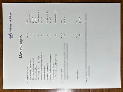 哈根远程大学成绩单-FernUniversität in Hagen transcript1