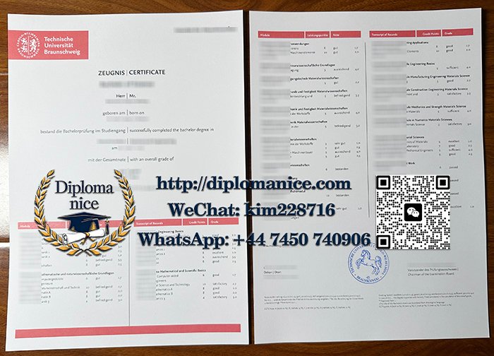 布伦瑞克工业大学成绩单-TU Braunschweig transcript