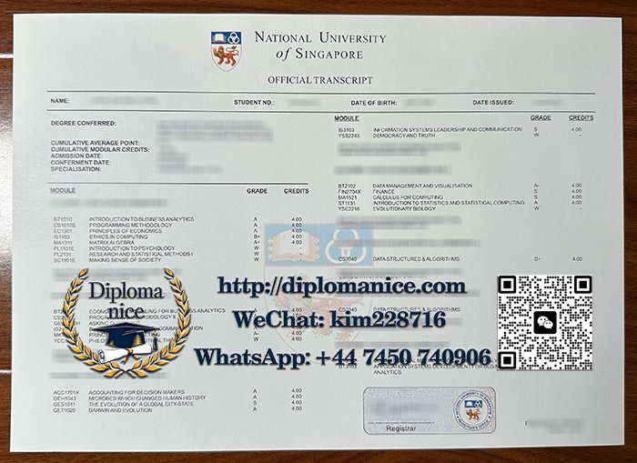 新加坡国立大学成绩单-NUS transcript
