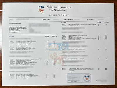 新加坡国立大学成绩单-NUS transcript