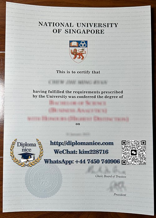 新加坡国立大学文凭-NUS diploma