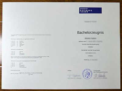 杜伊斯堡-埃森大学成绩单-Universität Duisburg-Essen transcript1