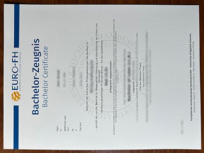 汉堡欧洲远程大学成绩单-Euro-FH transcript1