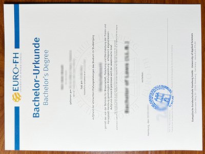 汉堡欧洲远程大学文凭-Euro-FH diploma1