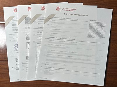 格罗宁根大学成绩单-University of Groningen transcript