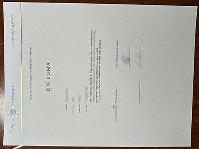 蒂尔堡大学文凭-Tilburg University diploma1