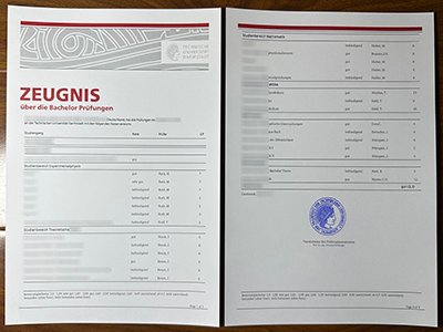 达姆施塔特工业大学成绩单-TU Darmstadt transcript1