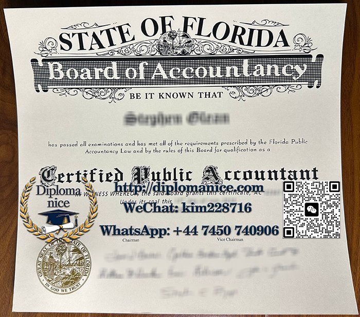 Florida CPA certificate