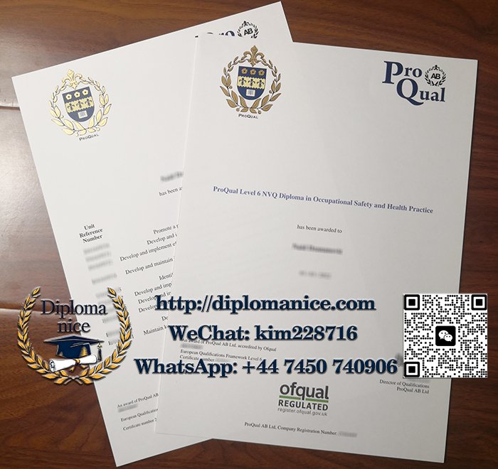 ProQual Level 6 NVQ 文凭-ProQual Level 6 NVQ diploma