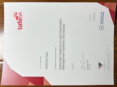 tafeSA certificate1