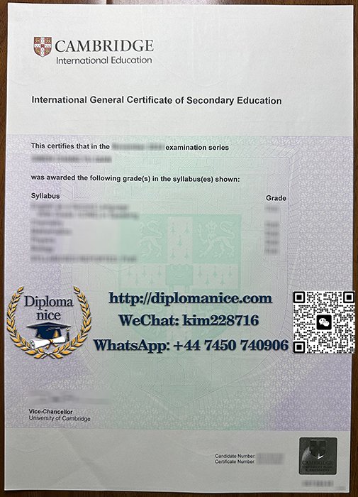 剑桥IGCSE证书-Cambridge IGCSE certificate