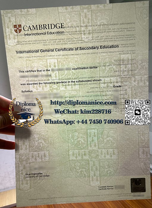 剑桥IGCSE证书-Cambridge IGCSE certificateII