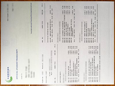 卡莫森学院成绩单-Camosun College transcript1
