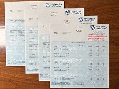 温莎大学成绩单-University of Windsor transcript1