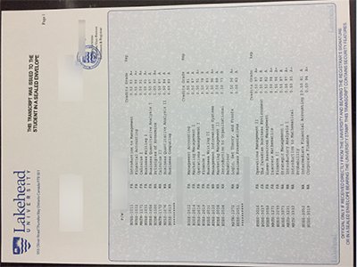 湖首大学成绩单-Lakehead University transcript1