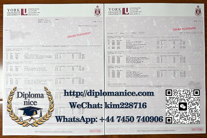 约克大学成绩单-York University transcript
