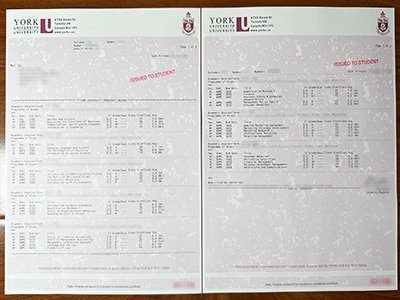 约克大学成绩单-York University transcript1
