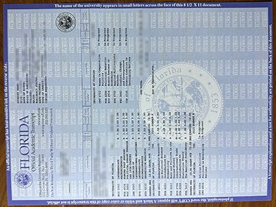 Florida International University transcript1