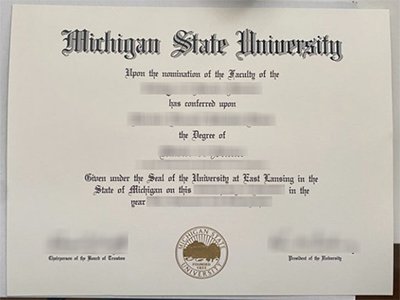 Michigan State University diploma1