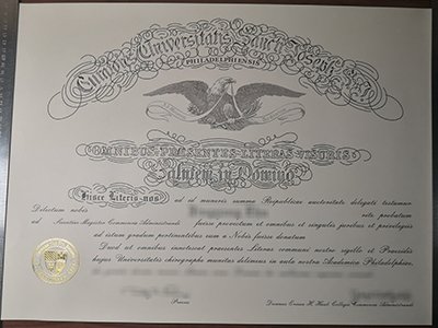 Saint Joseph's University diploma1