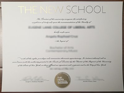 The New School diploma1