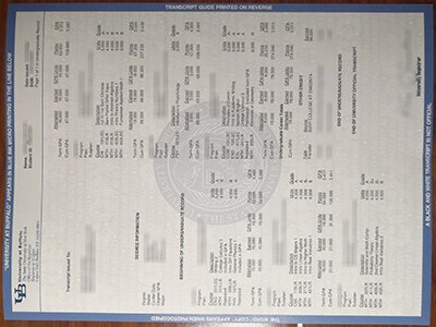 University at Buffalo transcript1