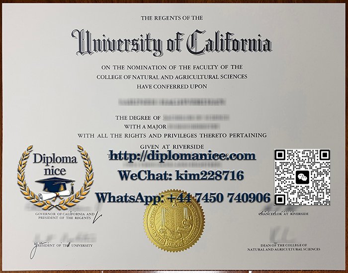 University of California Riverside diploma
