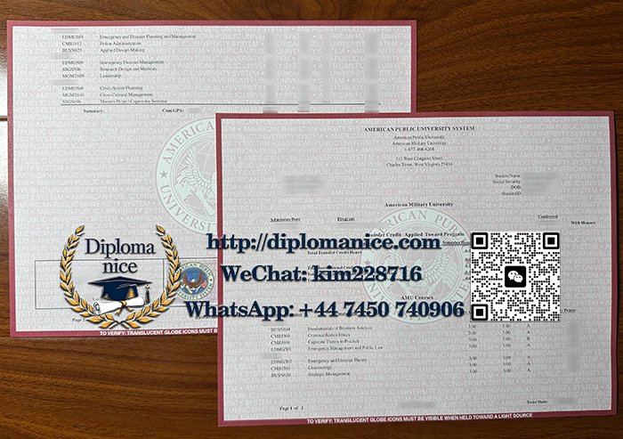 American Public University System transcript