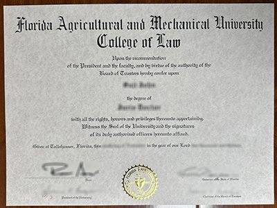 Florida Agricultural and Mechanical University diploma1
