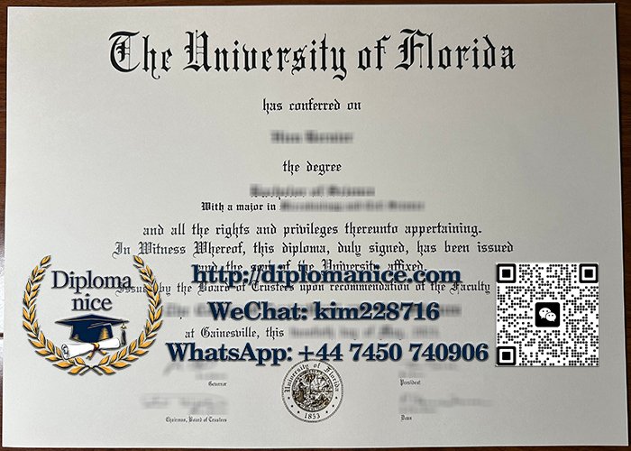 University of Florida diploma