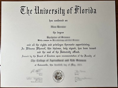 University of Florida diploma1