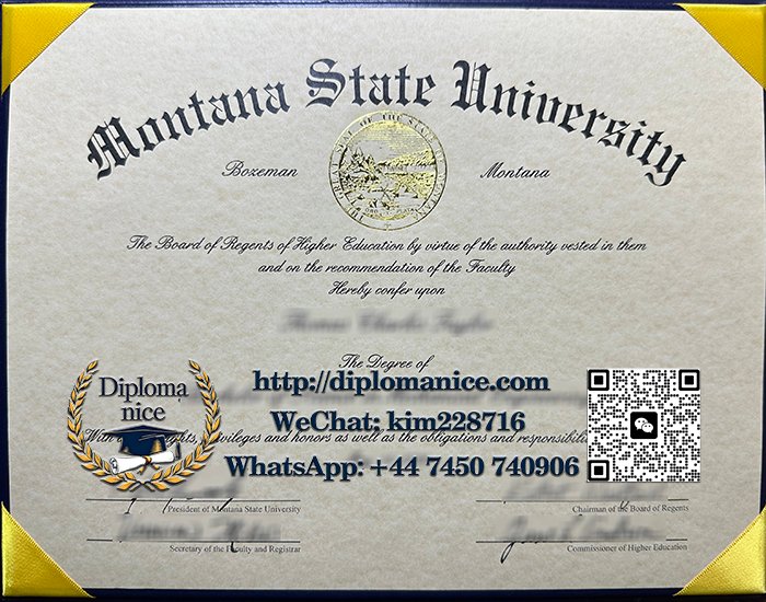 Montana State University diploma