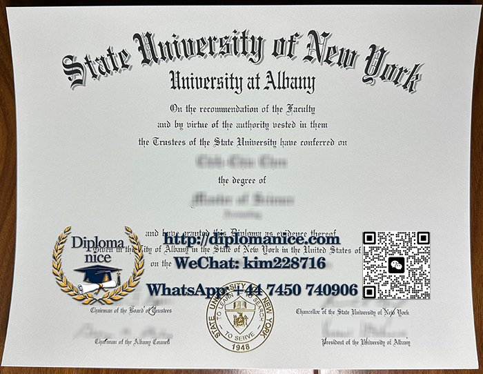 SUNY Albany diploma